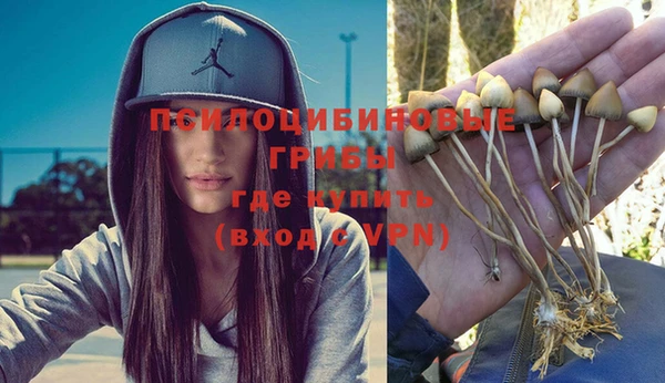 прущие крисы Нея